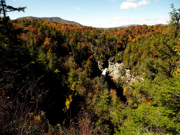 fogliame, autunno, Cascate di Lynn, caduta, stagione, foresta, paesaggio