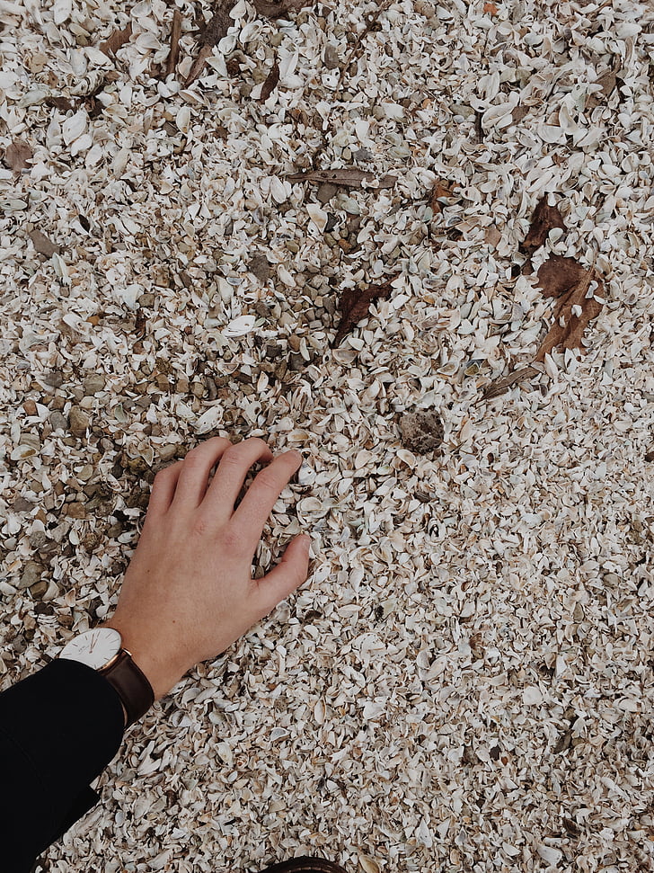 pessoa, tocando, cinza, pedra, praia, mão, mãos
