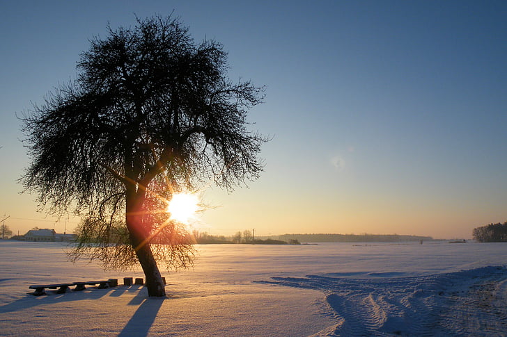 sunrise, winter impressions, wintry, snow, cold, winter, winter magic