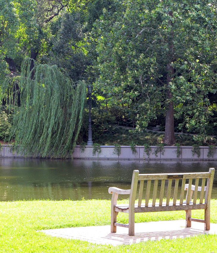 park bench, bench, wooden, park, weeping willow, trees, pond