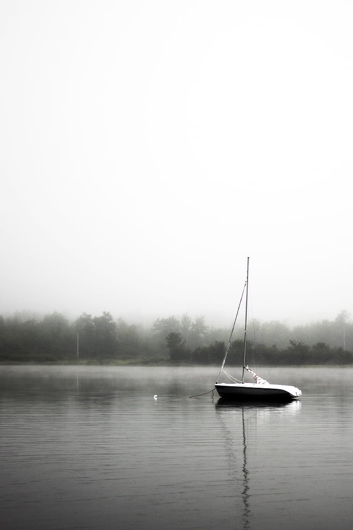 tek renkli, Fotoğraf, yelken, tekne, vücut, su, sisli