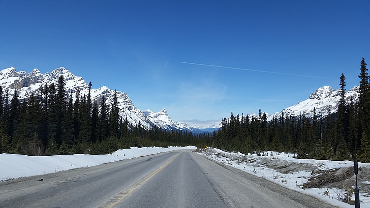 autoroute, montagnes, glaciers, Parkway, Alberta, Scenic, route