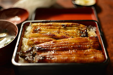 ål, Japan mat, mat, gourmet, kjøtt, måltid, grillet