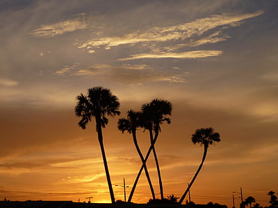 Sunset, Palm puud, päike, Romantika, abendstimmung, Õhtune taevas, videvik
