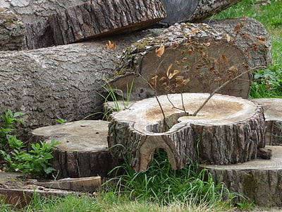 Konar, tronco, legno, albero, taglio, la corteccia, ramo dell'albero