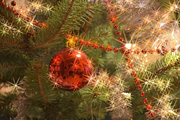 Χριστούγεννα, στολίδια, Χριστουγεννιάτικα στολίδια, βελόνες, φως, χριστουγεννιάτικο δέντρο, δενδρύλλιο