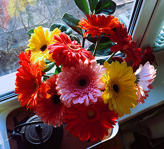 bunga, karangan bunga, musim semi, beech warna, komposisi, bunga-bunga indah, cerah