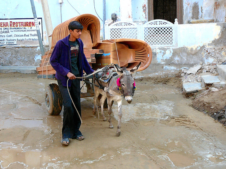 India, asino, trasporto