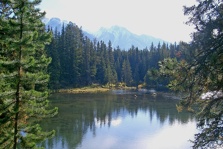 Kanada, Banff nationalpark, nationalparken, Banff, naturen, Alberta, sjön