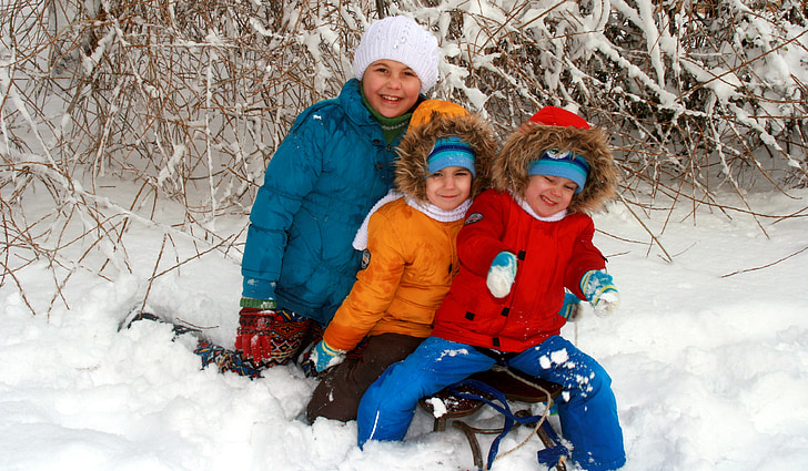 Anh em sinh đôi, Anh em, em gái, tuyết, chơi, xe trượt, mùa đông