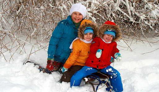 twins, brothers, sister, snow, play, sledge, winter