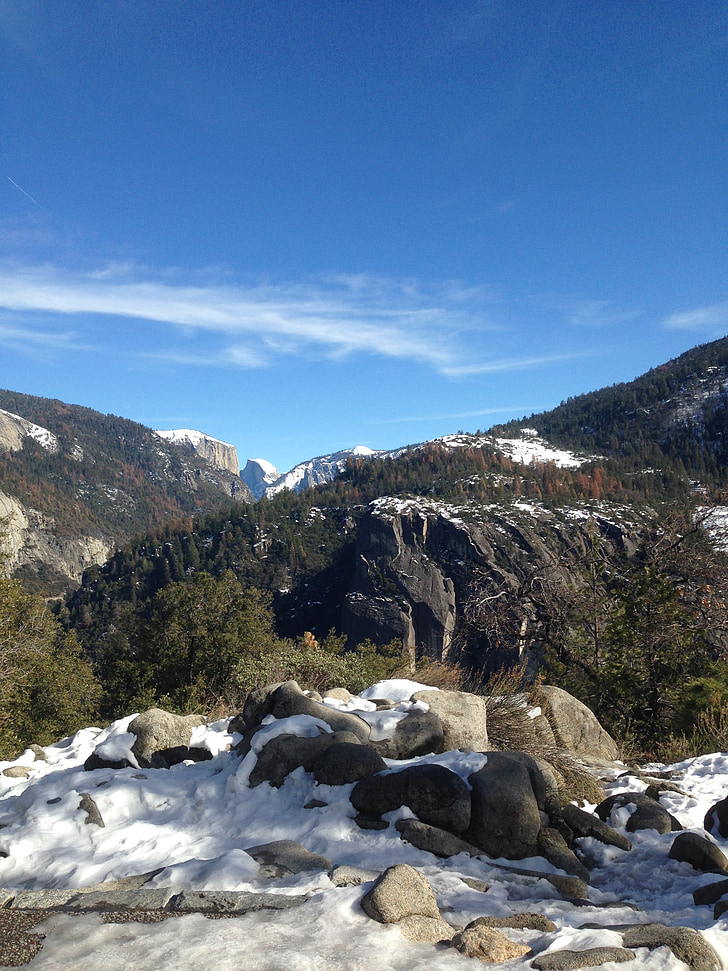 Yosemite, Forest, Scenic, Parc, nature, national, Californie