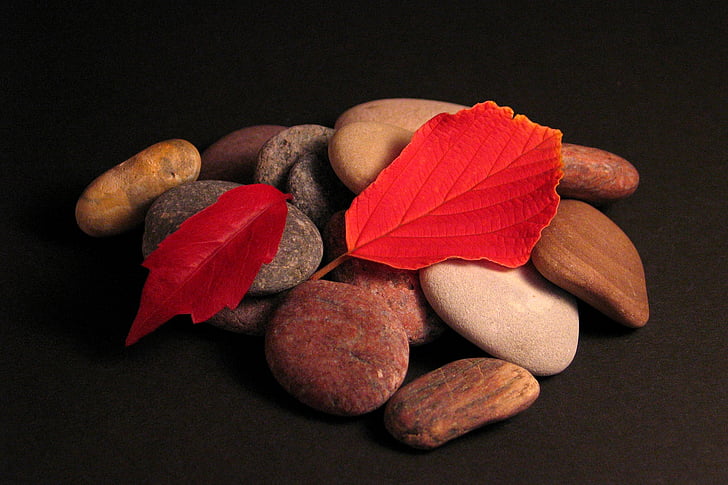 lapai, akmenys, rudenį, raudona, lapų, lapai rudenį, rudens spalvos