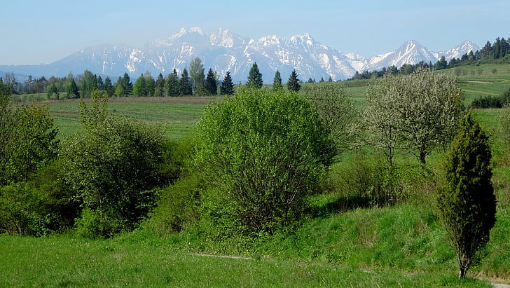 Tatry, bjerge, landskab, Høje Tatra, forår, natur