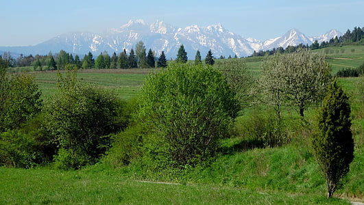 Tatry, montanhas, paisagem, as altas montanhas tatras, Primavera, natureza