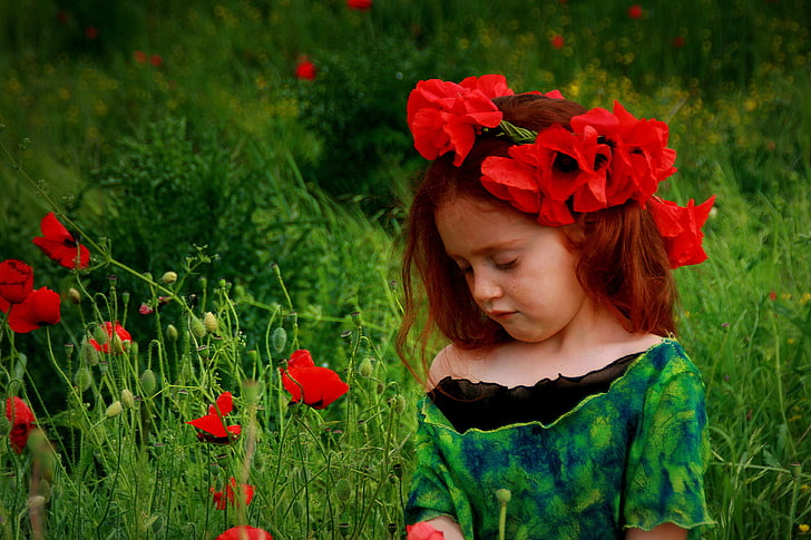 girl, poppies, red, red hair, camp, flower, fantasy