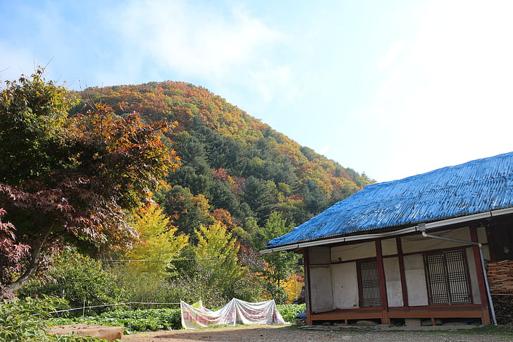 rudenį, kraštovaizdžio, rudenį, kaimo kraštovaizdžio, rudeniniai lapai, mėlynos spalvos stogo, Kotedžas