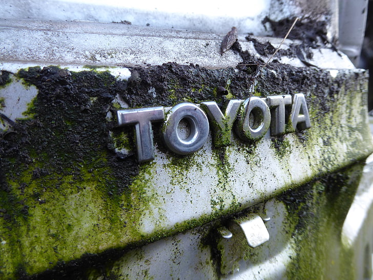 toyota, discarded, expiration, moss