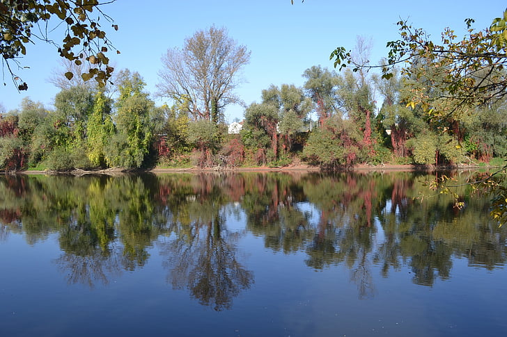 Lake, mùa thu, Thiên nhiên, nước, cảnh quan, rừng, mùa giải