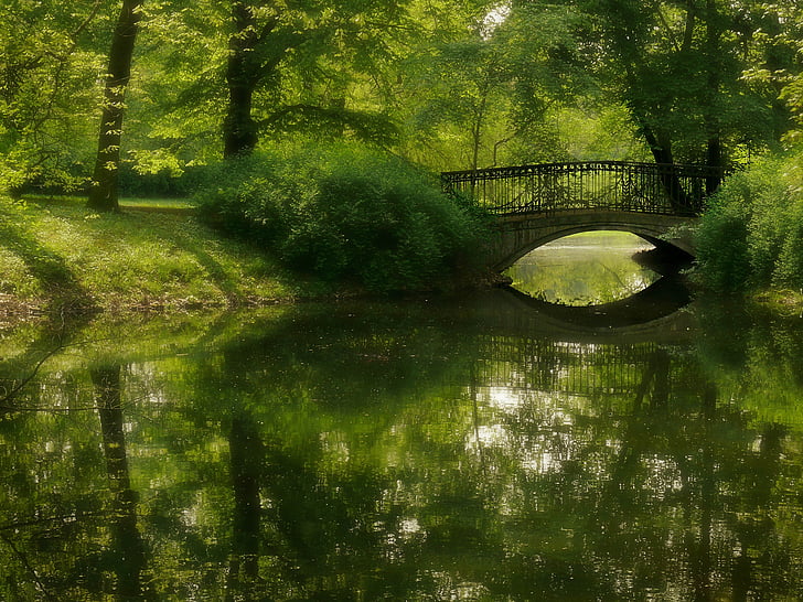 Parque, verde, puente, estanque