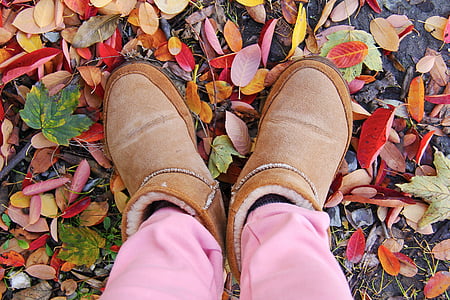 hösten, stövlar, färgglada, torra löv, faller, fötter, skor
