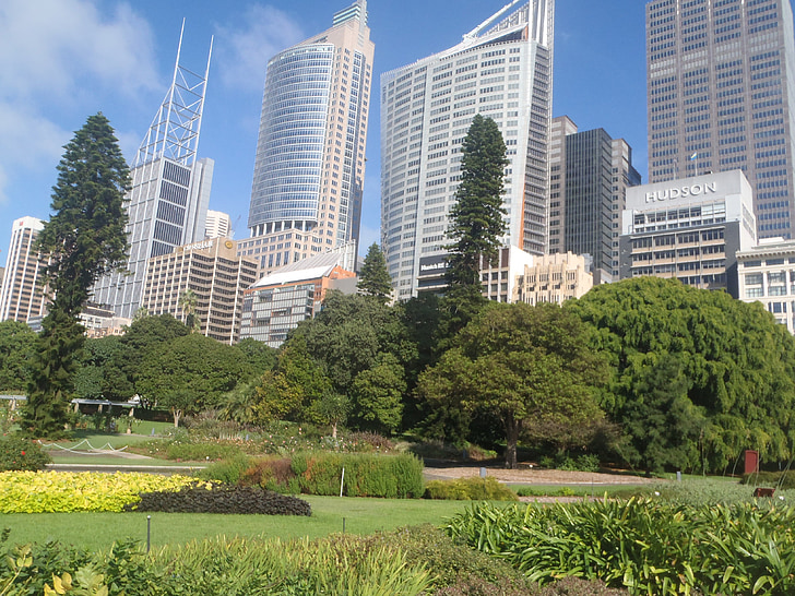 Sydney, Australia, città, Giardini botanici di Sydney, Parco di Sydney, grattacieli di Sydney, Skyline