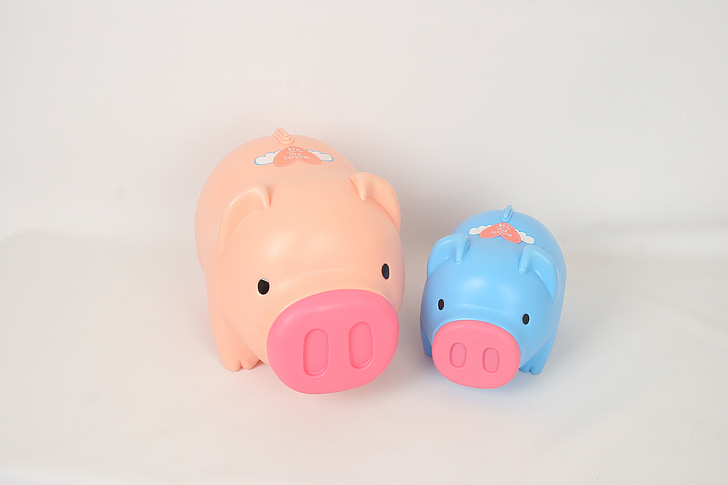 pig, piggy bank, in the new year