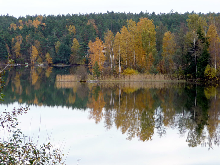 hösten, vatten, naturen, fortfarande, sjön