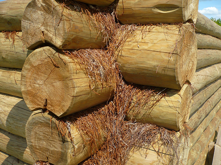 wood, log, logs, chopped, stack, pile, macro