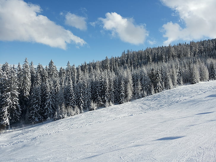 área de esqui, pista de esqui, Gerlitzen, invernal, Caríntia, Inverno, mágica da neve