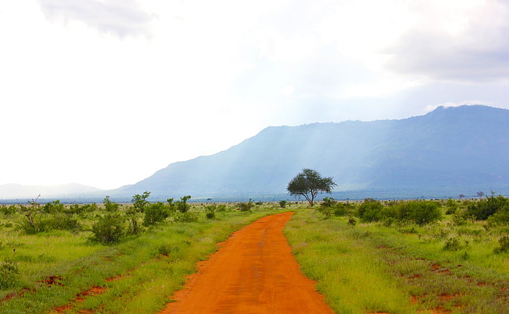 dirt, road, landscape, grass, mountains, trees, sky