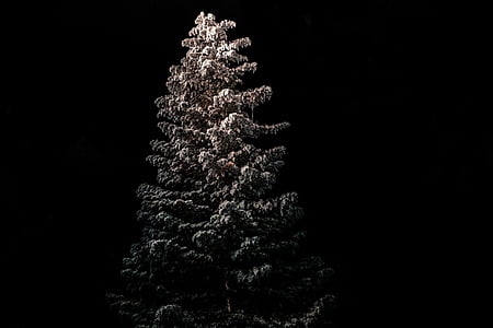 Foto, beige, artificial, árbol, árbol de pino, ze, Navidad