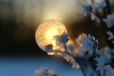 Мильна бульбашка, Блістер морозу, взимку, eiskristalle, Захід сонця, заморожені міхур, післясвічення