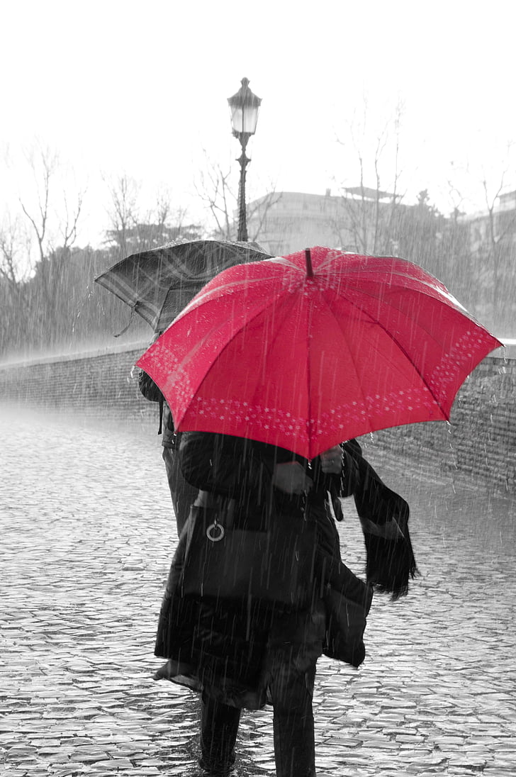 regn, vand, dråber, regnfulde, regnvejrsdag, paraply, rød