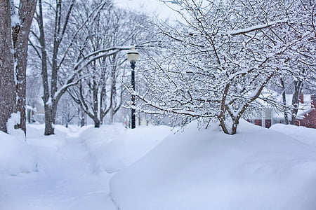 Hluboký sníh, Zimní, Michigan, zasněžené ulice, ledové, ze, chlad