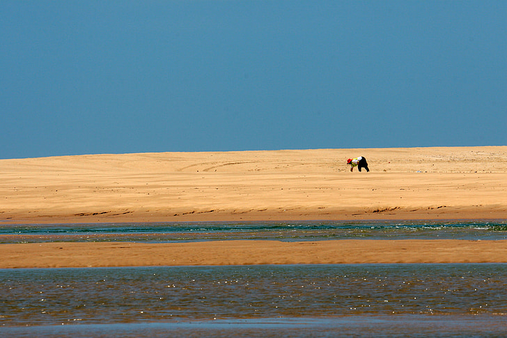 stranden, sand, Dune, vann, person, Indiahavet, Natal
