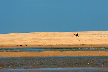 plage, sable, dune, eau, personne, océan Indien, Natal