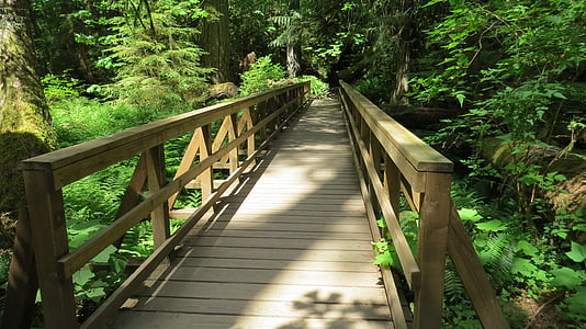 Most, Příroda, dřevěný, Les, zelená, přírodní, dřevo