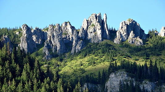 Tatry, hegyek, sziklák, Chochołowska-völgy, táj, chochołowski Boglárka, Lengyelország