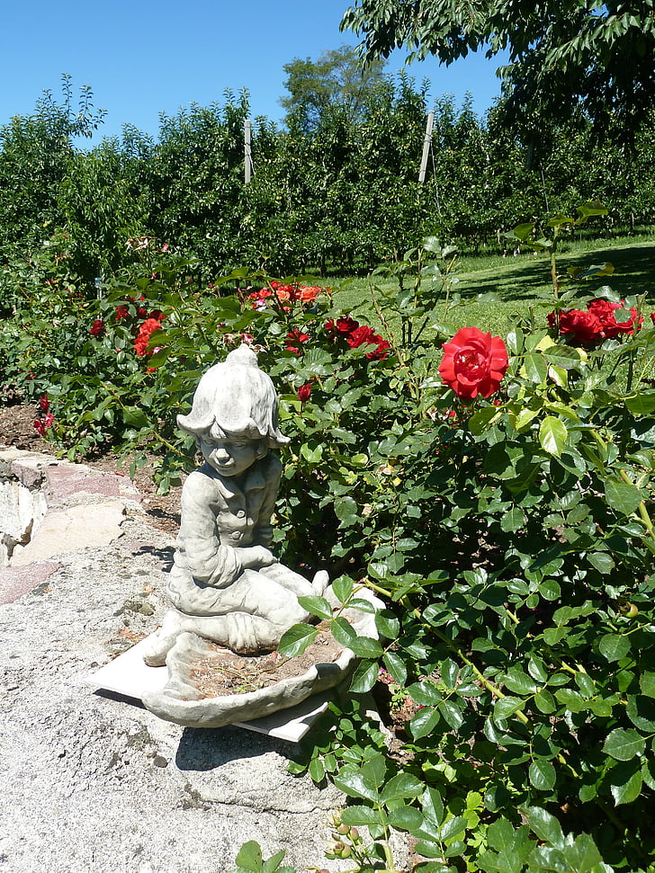 jardí, figura de pedra, llit de roses