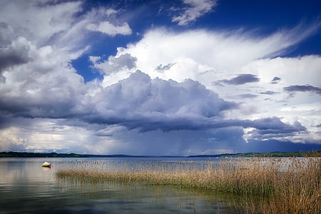 sự hình thành đám mây, đám mây, Bình minh, Chạng vạng, cỏ, Lake, cảnh quan