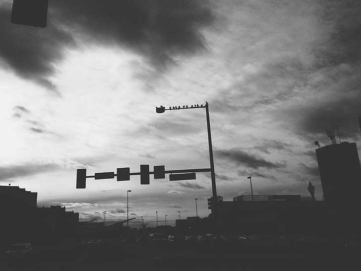 aves, urbana, Denver, preto e branco, rua, céu, nuvens