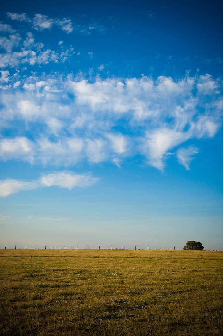 field, sky, clouds, nature, landscape, sun, background image