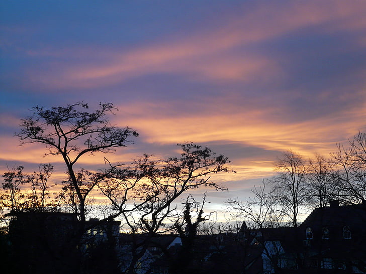 puesta de sol, cielo, nubes, posluminiscencia, árbol, abendstimmung, Romance