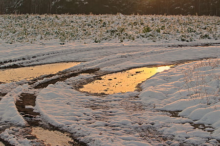 winter, snow, sunset, puddle, frozen, ice, wintry