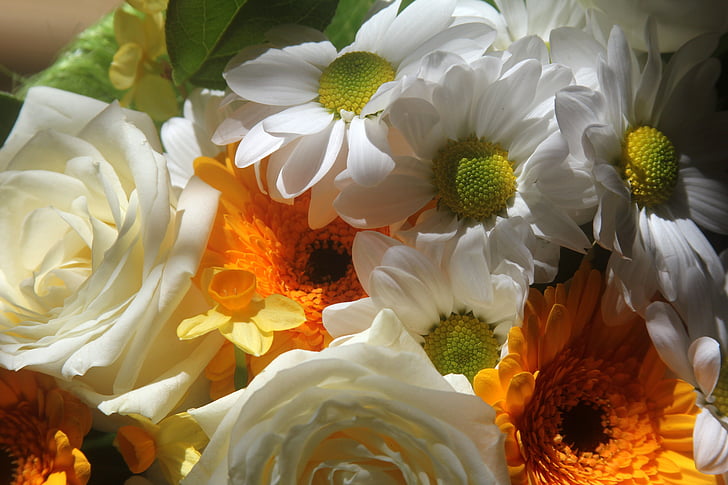 gėlių puokštė, puokštė, balta, oranžinė, geltona, gėlės, Pavasariniai žiedai