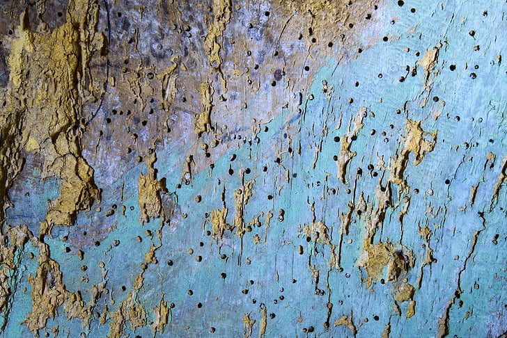 madeira, velho, textura, plano de fundo, buraco de minhoca, pintado, azul claro