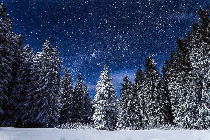 nieve, naturaleza, noche, viajes, azul, paisaje nevado, noche mágica