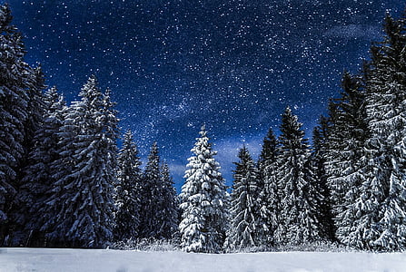sniega, daba, naktī, ceļojumi, zila, sniega ainavas, burvju nakts
