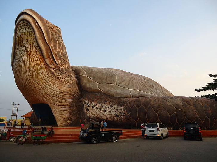 Kura-kura, de giant schildpad, Kartini van strand